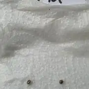 Triple Mints XXL