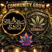 Greenhouse X CCG