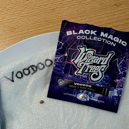 VOODOO Wizzy X Black Magic