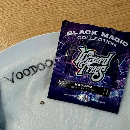 VOODOO Wizzy X Black Magic