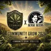 Sensi Seeds X CCG