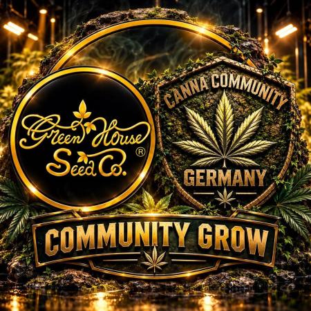Greenhouse X CCG