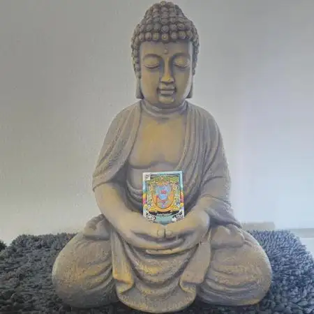 SWS118