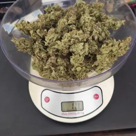 Apricot Auto