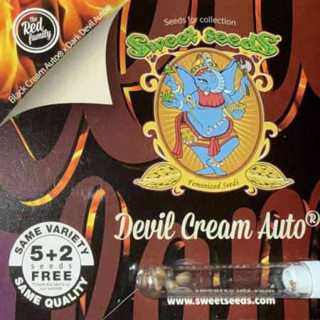 Devil Cream + Blueberry Bliss