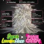 SLH x Pink Candy (GHS) stayhighッ