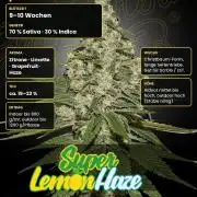 Super Lemon Haze (GHS) stayhighッ