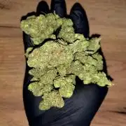 Green poison 😋
