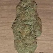 Royal Critical