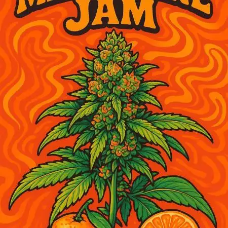 Mandarine Jam 🍊🍊