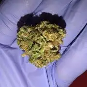 Lemon Cherry Cookies
