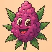 Candy Bubatz XL Grow