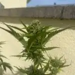 Kleiner Outdoor-Quickie 2025
