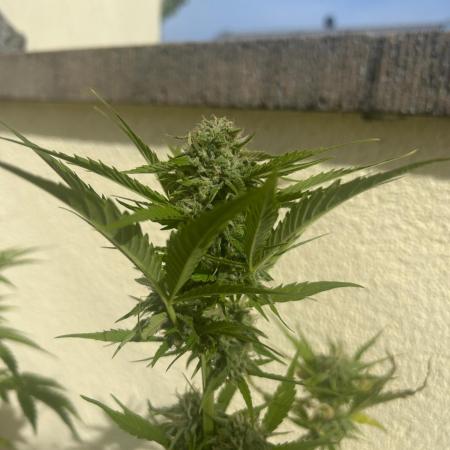 Kleiner Outdoor-Quickie 2025
