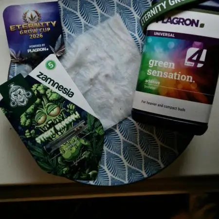 Sticky Broccoli - Eternity Grow Cup 2026