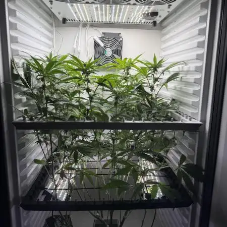 Fridgegrow 2.0 | Permanent Marker Cut