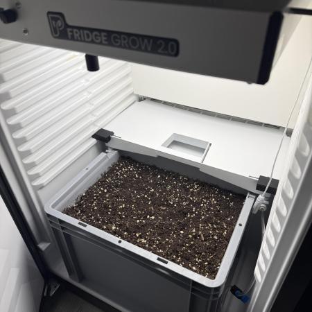 Fridgegrow 2.0 | Guava Auto RF3