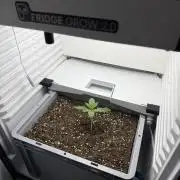 Fridgegrow 2.0 | Guava Auto RF3