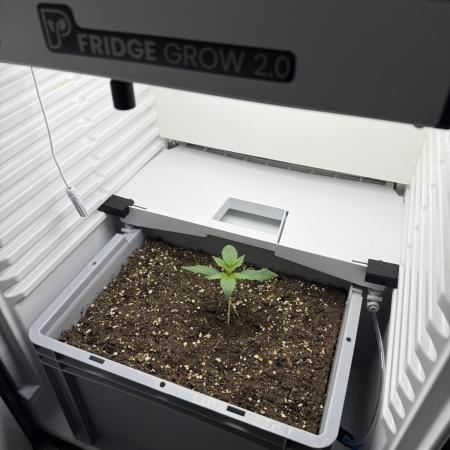Fridgegrow 2.0 | Guava Auto RF3