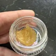 Fridgegrow 2.0 | Guava Auto RF3