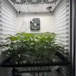 Fridgegrow 2.0 | Permanent Marker Cut