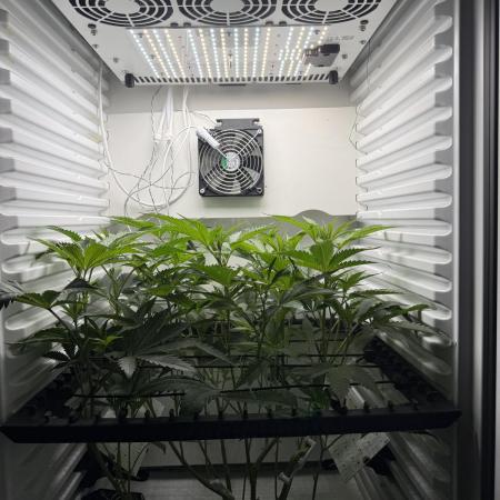 Fridgegrow 2.0 | Permanent Marker Cut