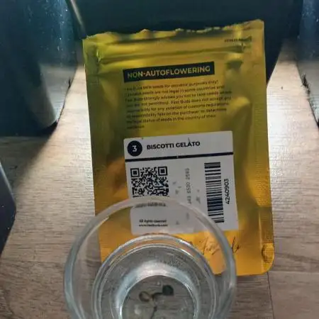 🔥Fastbuds 🔥