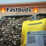 🔥Fastbuds 🔥