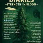 HulkBerry