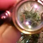 Haze Window