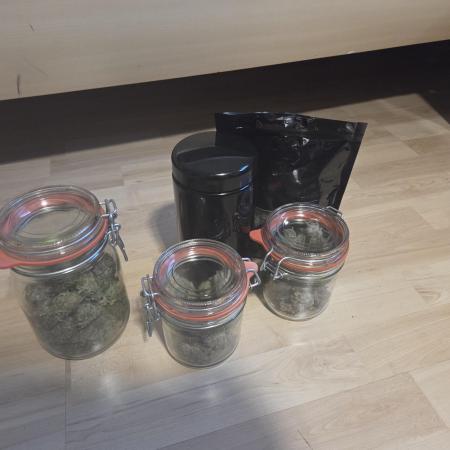 HSC All Gas OG-Autopot Coco
