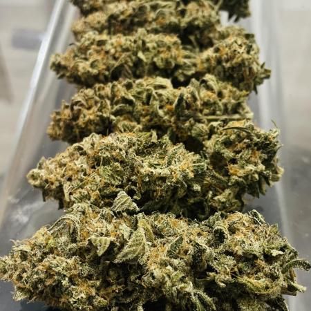 Cherry Poppers 🍒 Barney’s Farm