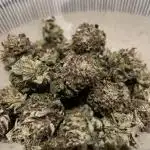 Vanilla Frosting F4 (HSC)