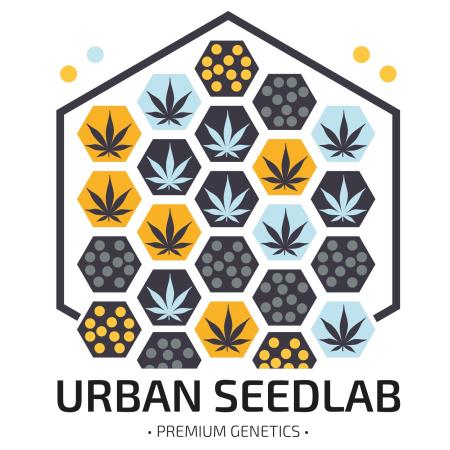 Lab des Urban