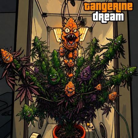 Tangerine Dream - Molly