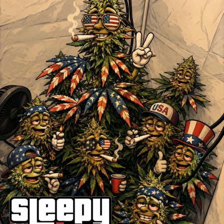 Sleepy Joe - Ursola