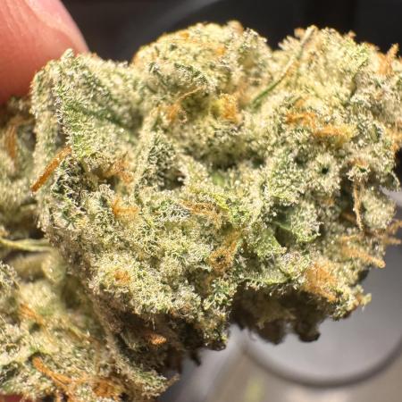 Papaya Zoap - Sweet Seeds