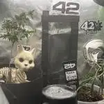 Fastbuds
