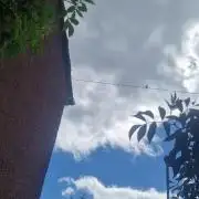 ZAMMIGROW2024
