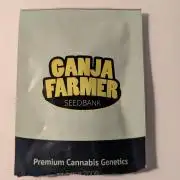 Ganja Farmer OG KuSH Fast VGrow
