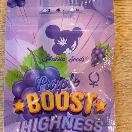 Anesia Purple Boost Highness