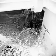 Diablo Rojo XL Auto in the VGrow DWC