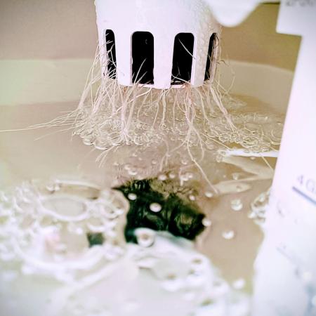 Diablo Rojo XL Auto in the VGrow DWC