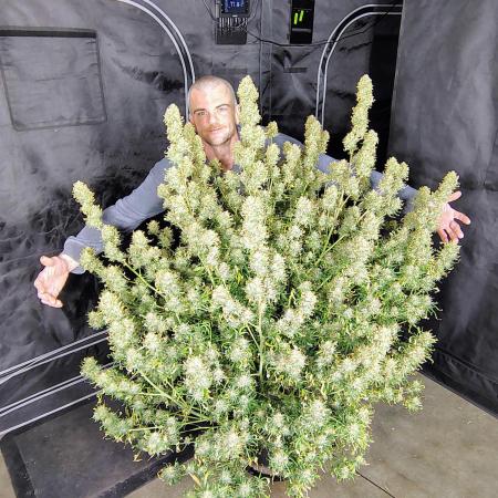 Winter 2025 garage grow