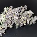 Banana Purple Punch