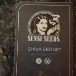 Shiva Skunk