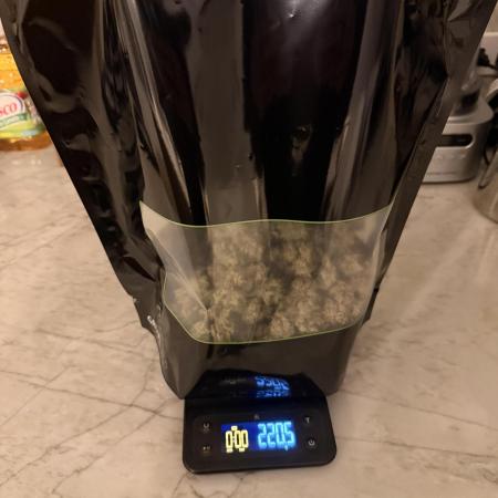 Papaya Cookies Athena DWC