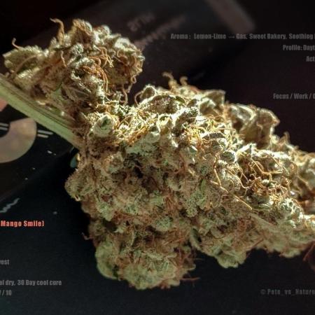 Apollo, Super Orange Haze, Cinderella J.