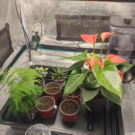 Conscious Genetics & Seedstockers