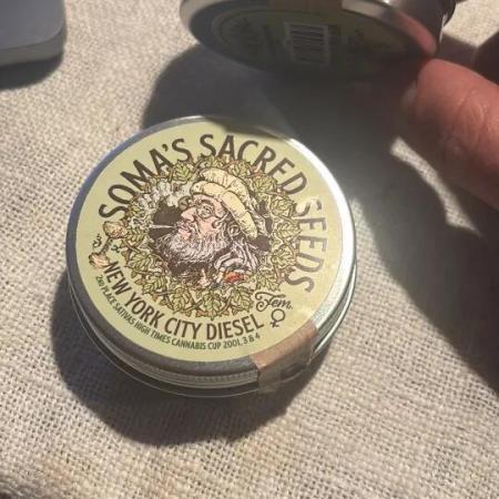 NYC Diesel von Soma Living Soil 50g/30L